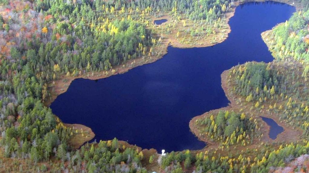 50 acres in Alger County, Michigan