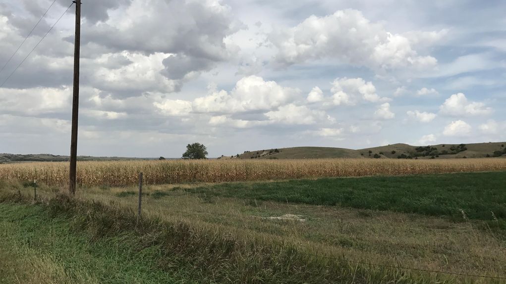 Custer County Land for Sale