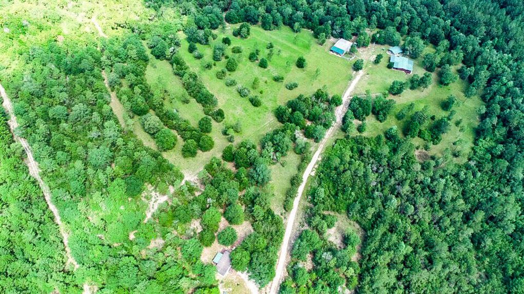 40 acres in Walton County, Florida