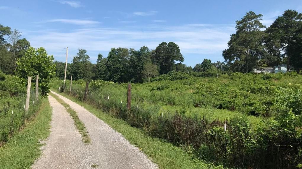 18.5 acres in Walker County,