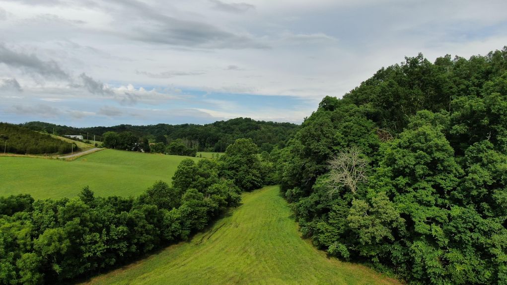Hunting Land for Sale East TN Greene County