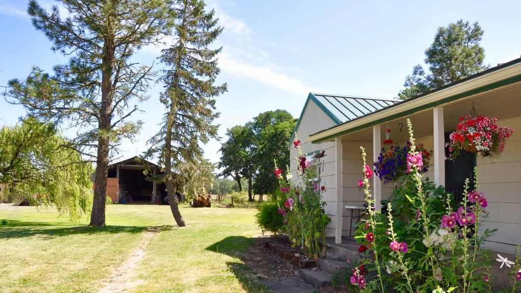 Bear Creek Pheasant Farm