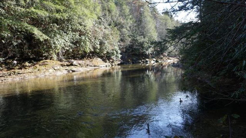 4000 feet of Caney Fork River Frontage