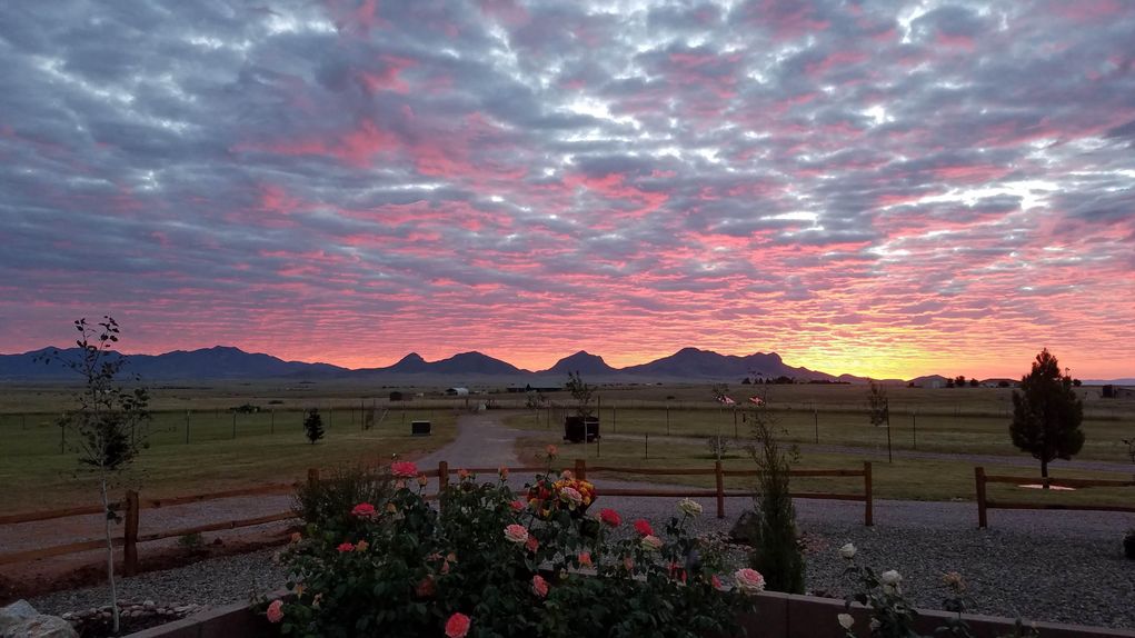 Beautiful Horse Property in the Heart of Elgin, AZ Wine Country!