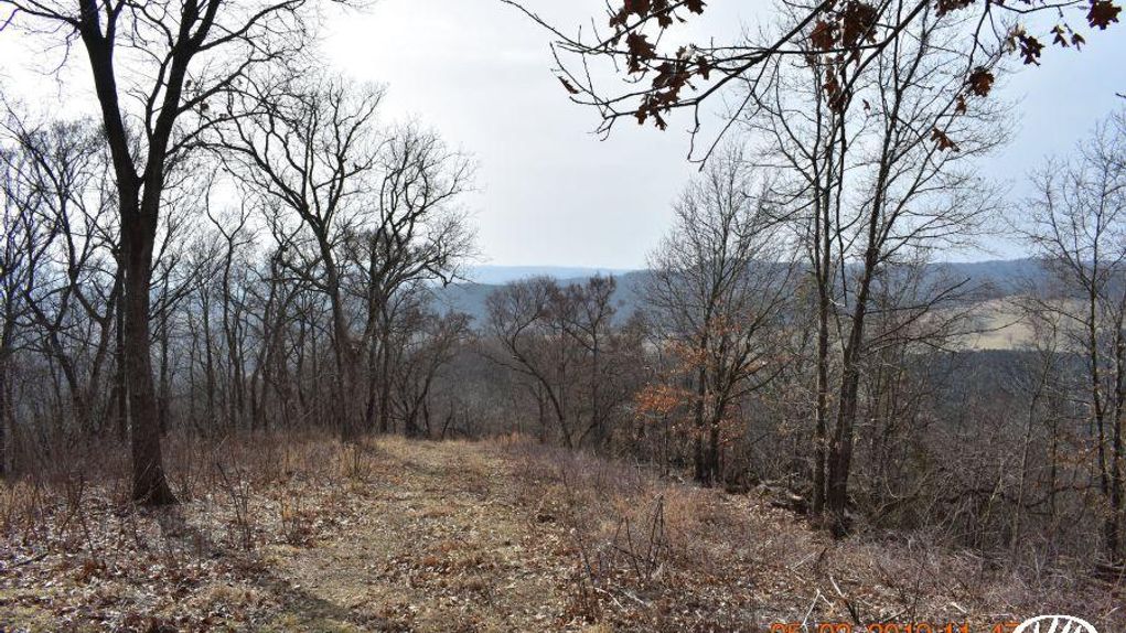 The Ultimate Hunting Tract In North Central Arkansas